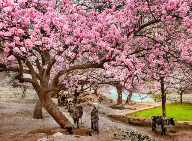 【伊山傍水7天6晚】（乌鲁木齐进出）