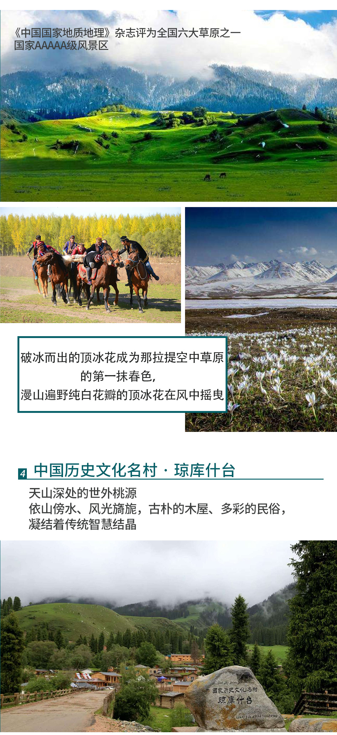 杏遇蓝冰2025详情图1_06 杏遇蓝冰2025详情图1_06